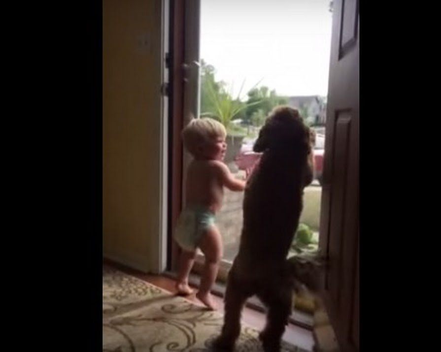 Watch: Dog And Baby Have Same Reaction To Dad Coming Home And It’s So Cute