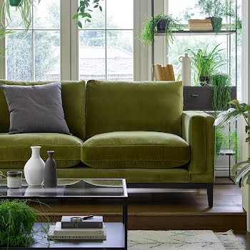 The best houseplants to suit every room