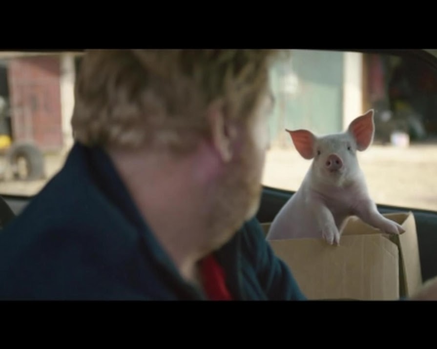 Watch: Postman Befriends Cute Pig In Adorable Ad