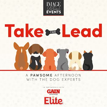 Calling all dog owners: Join our virtual event and #TakeTheLead from the dog experts