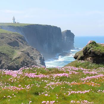 What the Irish miss most about home when living abroad 