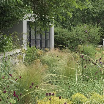 This garden in the Wicklow Mountains blends into the wilderness