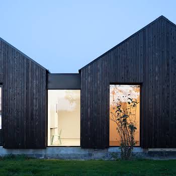 Shou Sugi Ban: The hottest home material right now is burnt timber