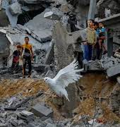 11 Irish charities supporting Gaza and Palestine right now