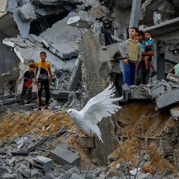 11 Irish charities supporting Gaza and Palestine right now