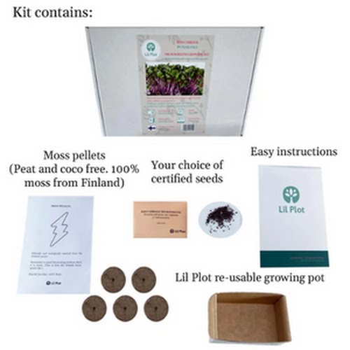 Grow Your Own Olive Tree Kit, €29.99, Reuzi