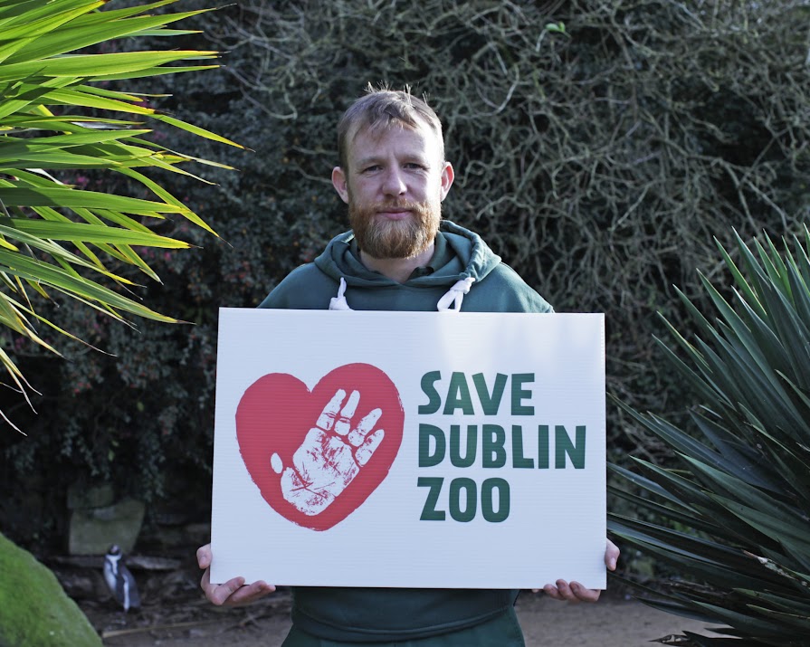 Fundraising campaign launched to help #SaveDublinZoo
