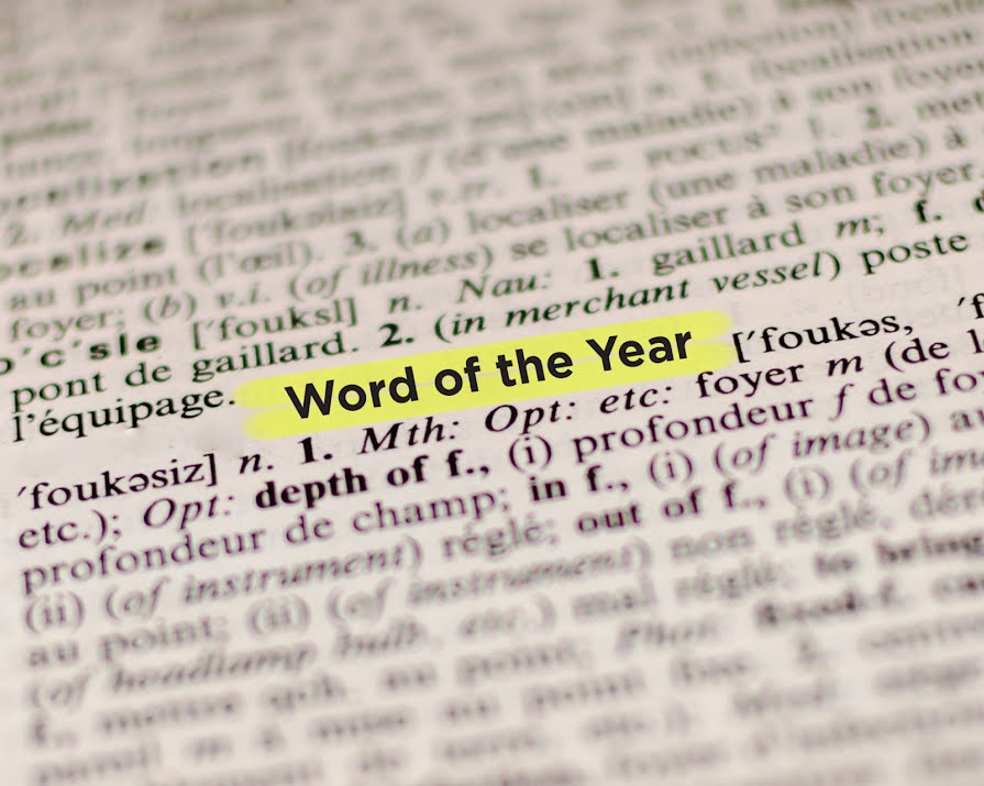 Collins' Word of the Year How 2019's word compares to years gone by
