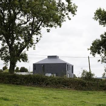 This Co Meath self-build blends with its rural surroundings, and has a clean and modern interior