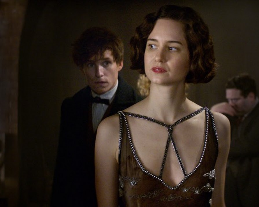 ‘Fantastic Beasts’ Actress Katherine Waterston On Her Biggest Role Yet