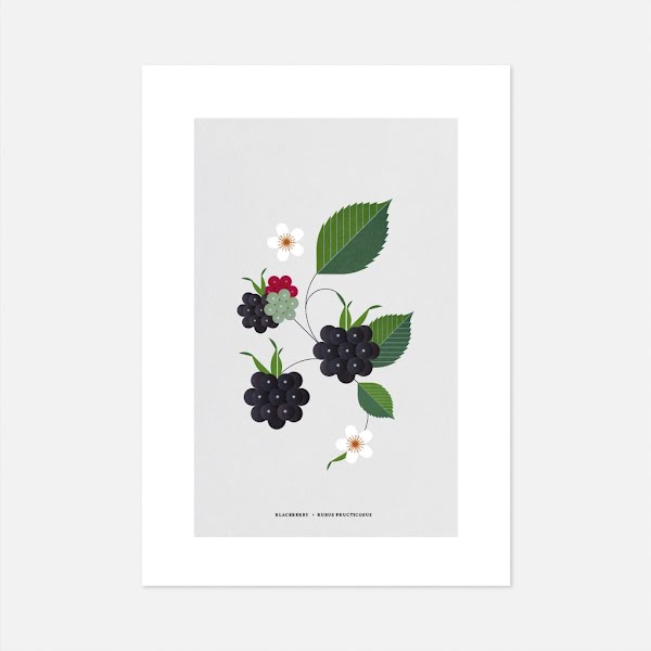 Blackberry Print, from €28, Irish Design Shop