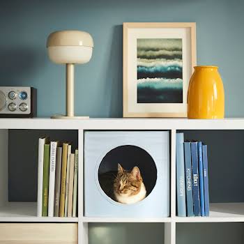 Ikea’s new pet collection includes a cat bed that slots into a shelf
