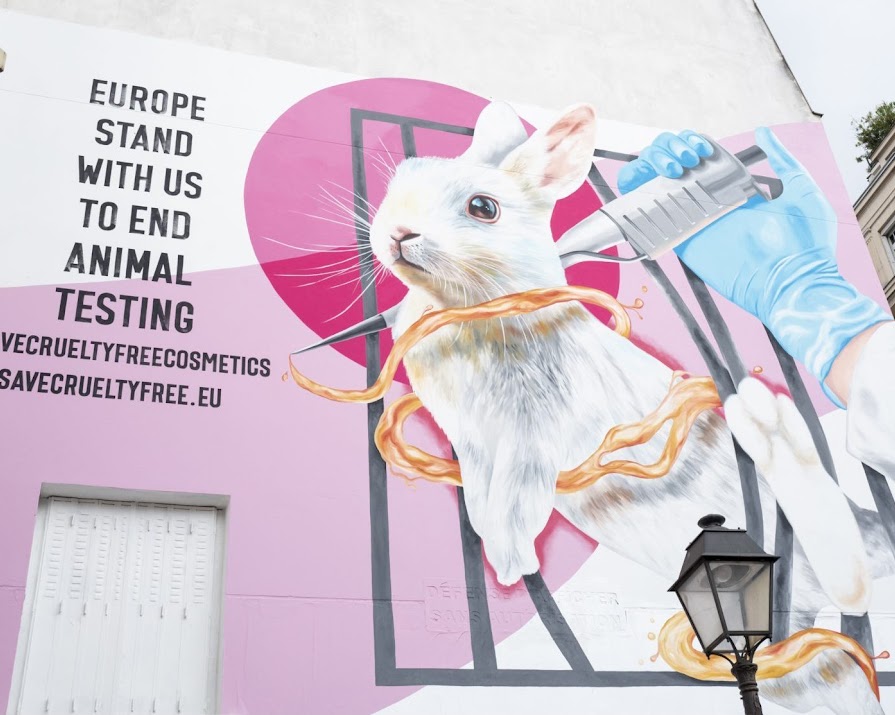 Two beauty industry stalwarts have teamed up to save cruelty-free cosmetics in Europe