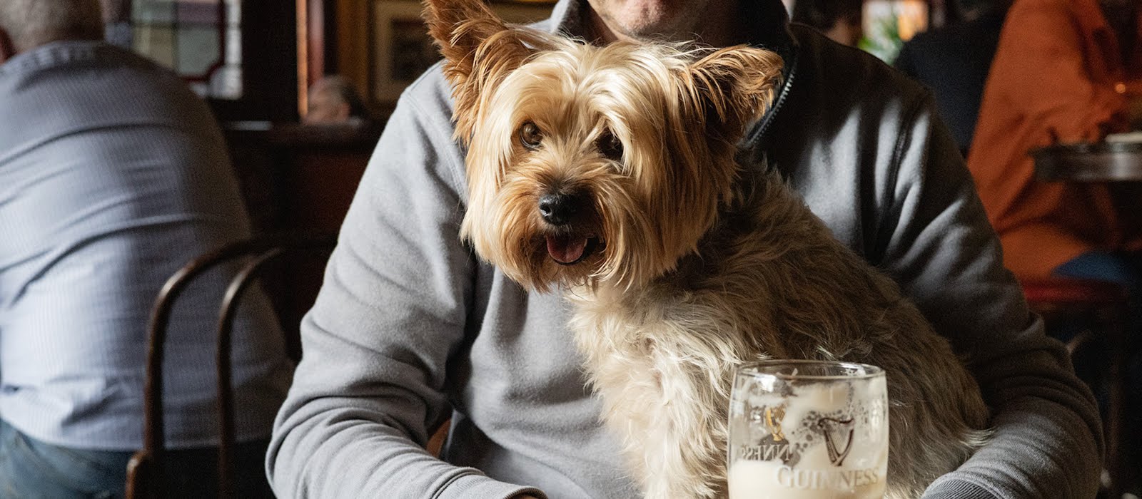 The best dog-friendly spots in Ireland, according to team IMAGE