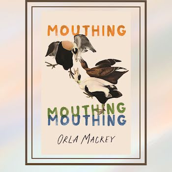 Read an extract from Orla Mackey’s debut, Mouthing