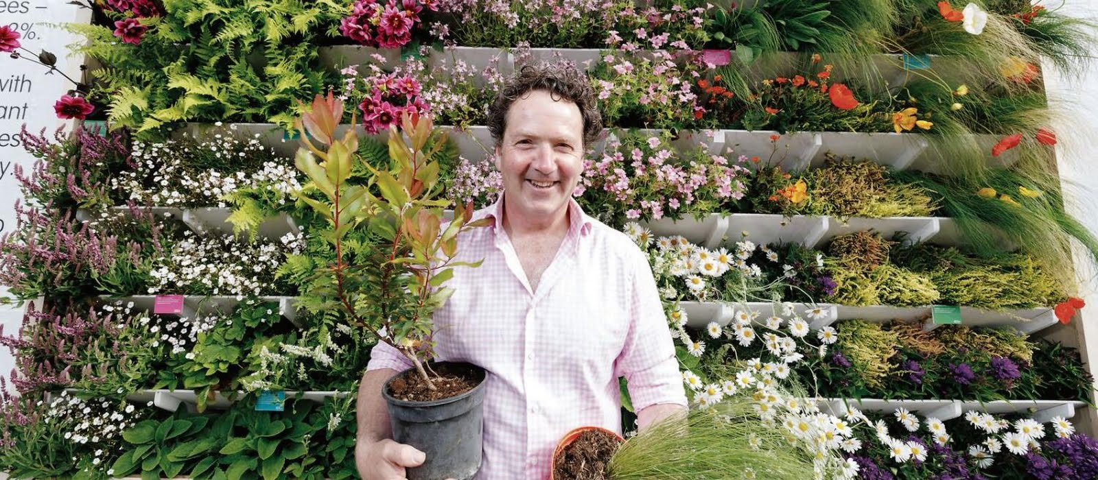 Diarmuid Gavin’s top tips: How to rewild your garden in six easy steps