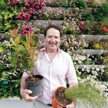 Diarmuid Gavin’s top tips: How to rewild your garden in six easy steps