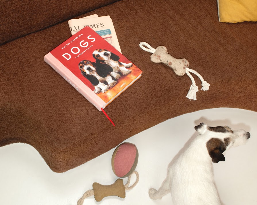 Stylish dog accessories that won’t disrupt your home’s aesthetic
