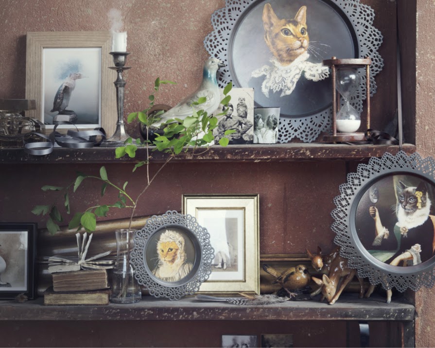 The Aristocats: Homeware accessories for the feline-friendly