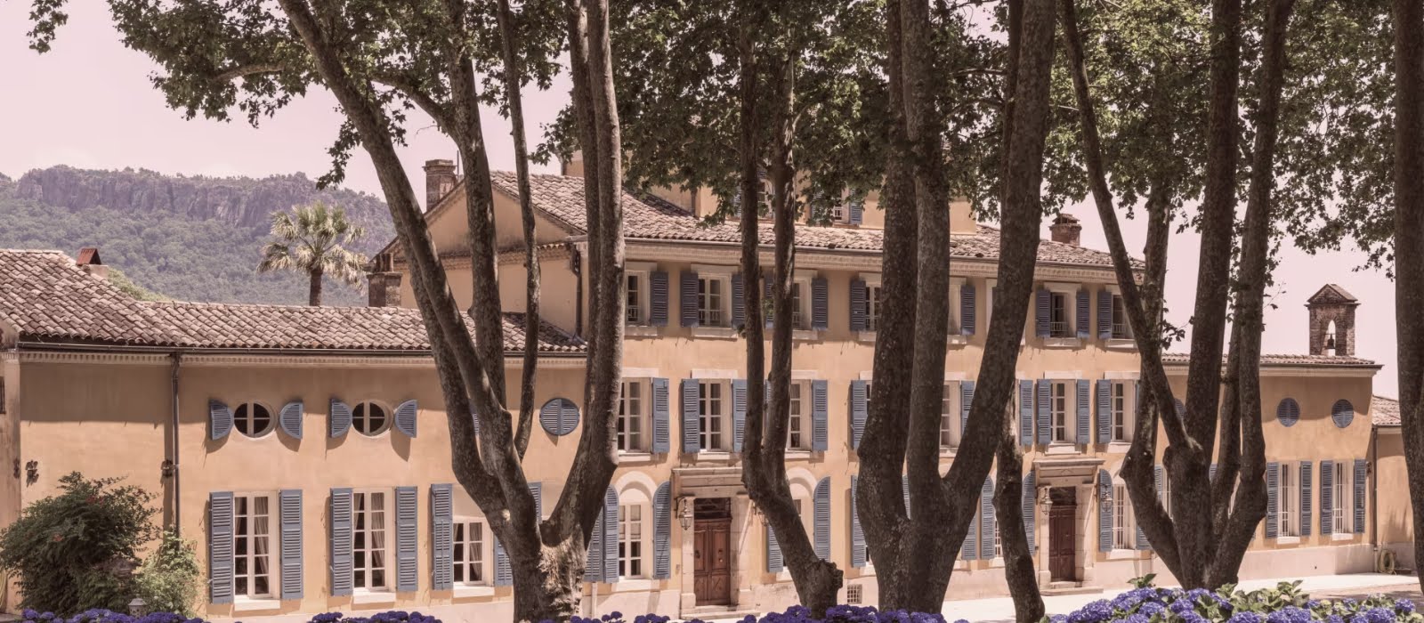 The wine destinations to visit for every occasion, according to an expert
