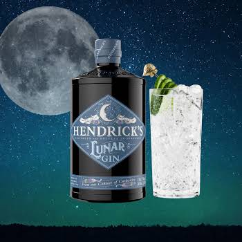 Hendricks Gin-2