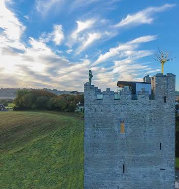 Irish sculptor Belvelly castle