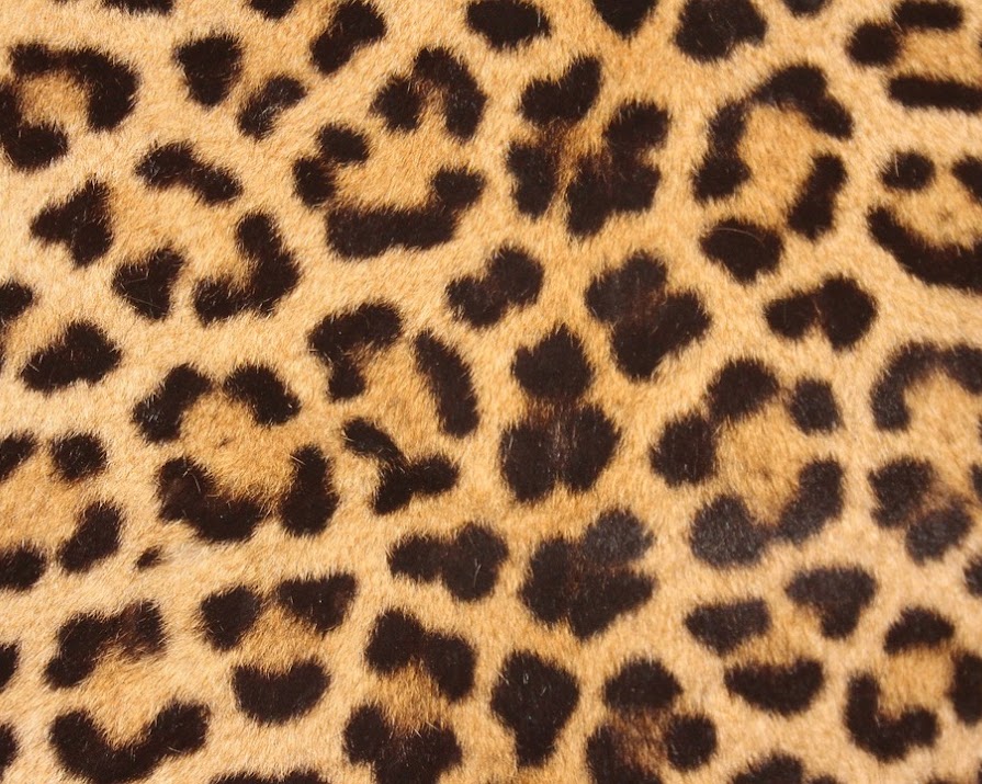 Have we already reached peak leopard print?