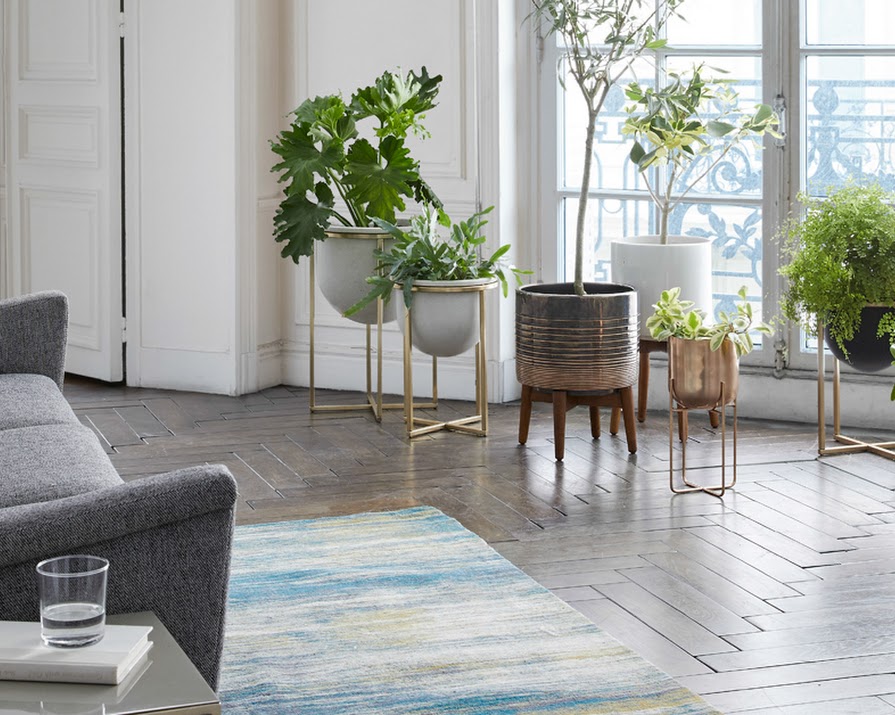 6 Things We Learned About The New West Elm Collection in Arnotts