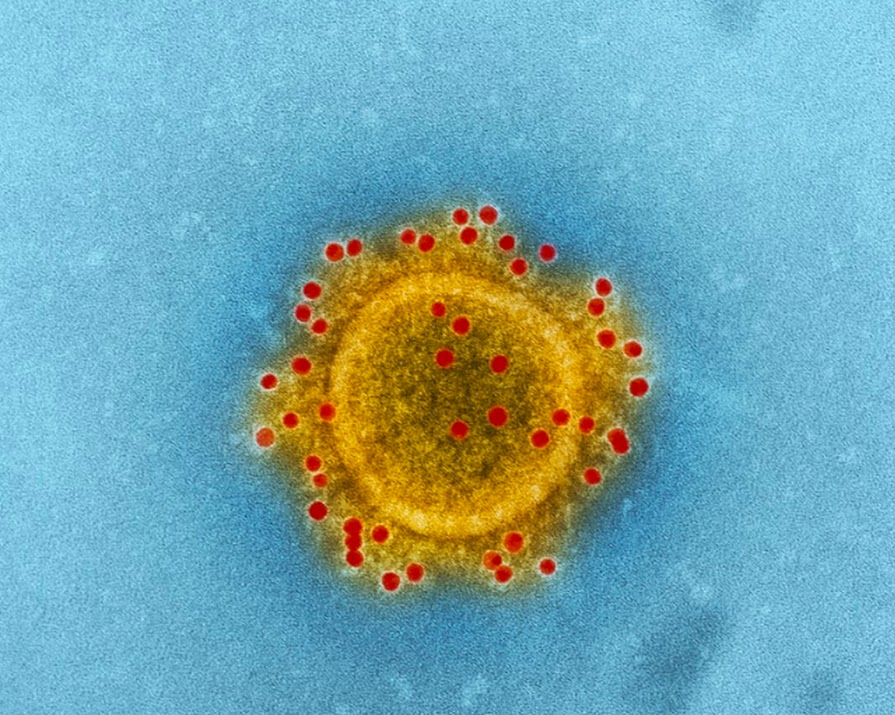 Coronavirus: It is time to do our civic duty
