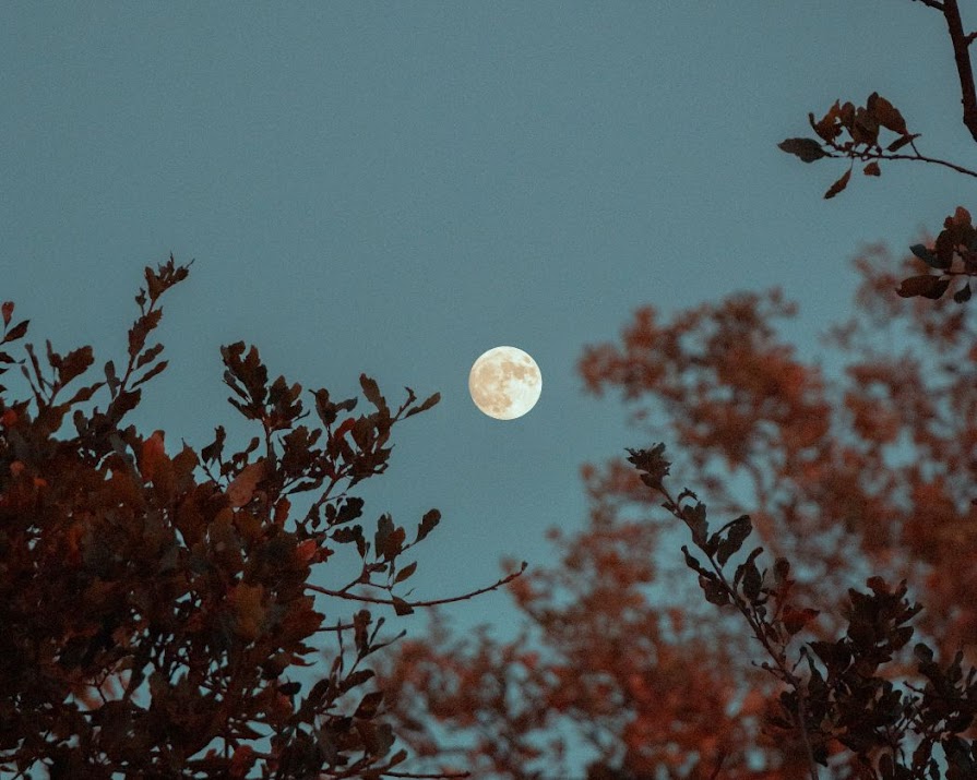 Tonight marks the last full moon of 2022 — here’s what you need to know about the Cold Moon