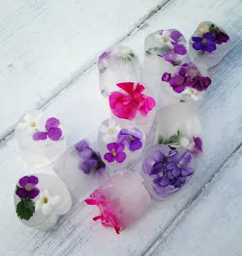 Edible Flower Ice Cube