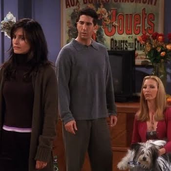 ‘Friends’ monkey trainer responds to David Schwimmer’s comments about Marcel