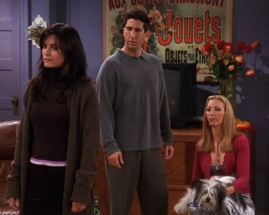 ‘Friends’ monkey trainer responds to David Schwimmer’s comments about Marcel