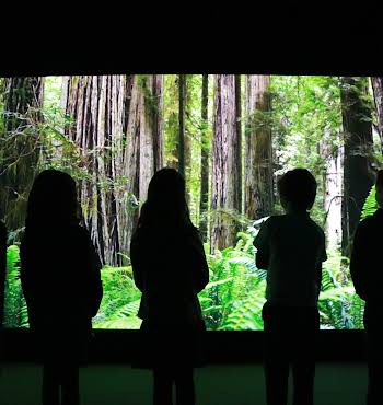 Cool Planet Experience at Powerscourt - climate change