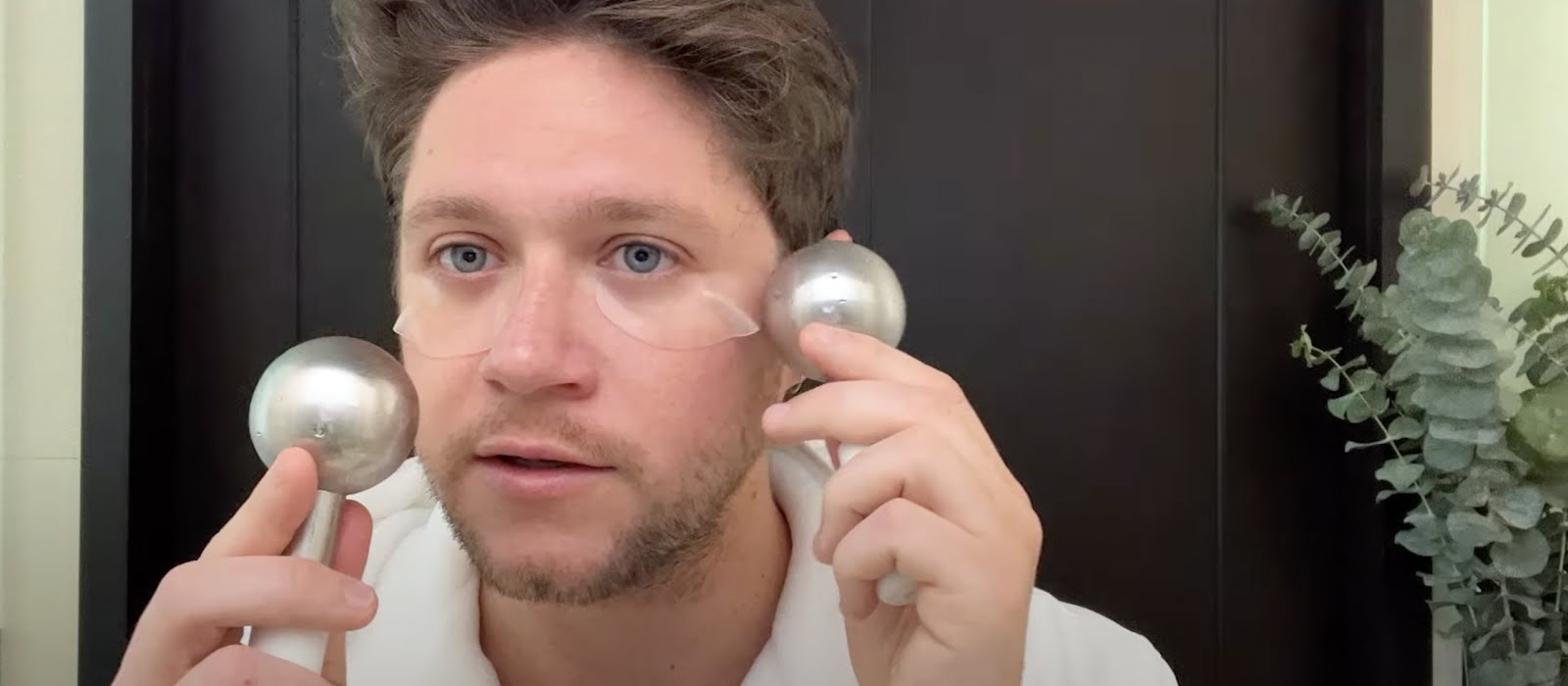 Niall Horan is a grooming god with a €1.5k, 22-step routine