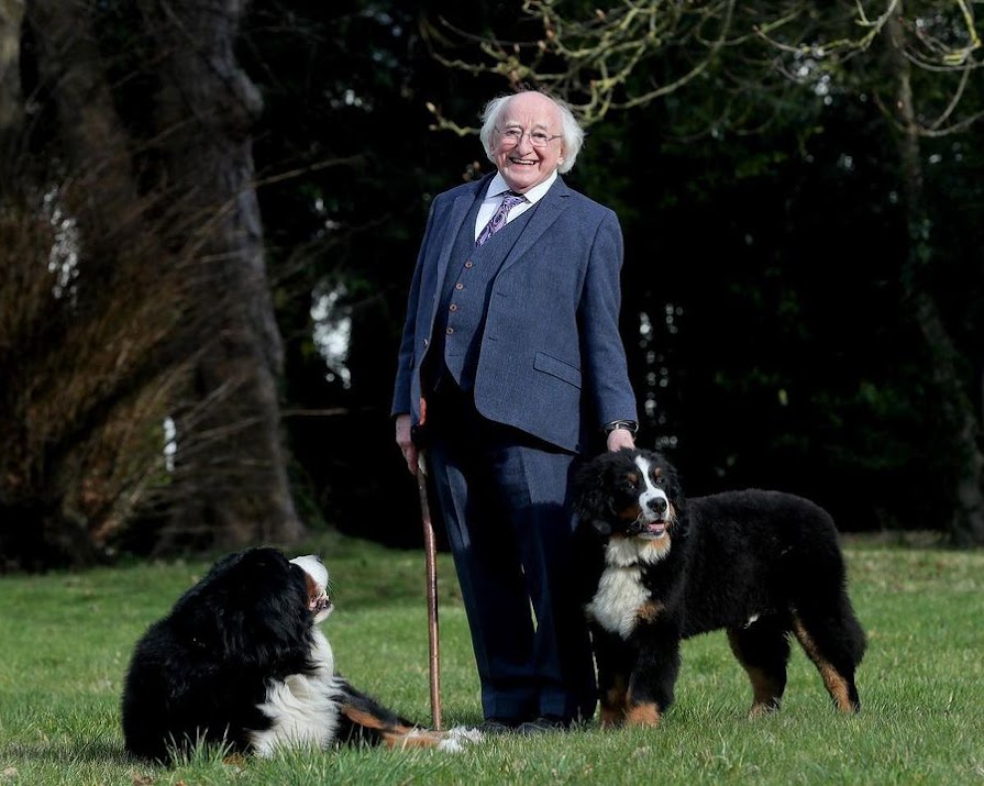 Irish TV to honour President Michael D Higgins on his 80th birthday this weekend