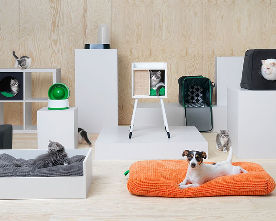 Everything You Need To Know About IKEA’s New Pet Furniture Range