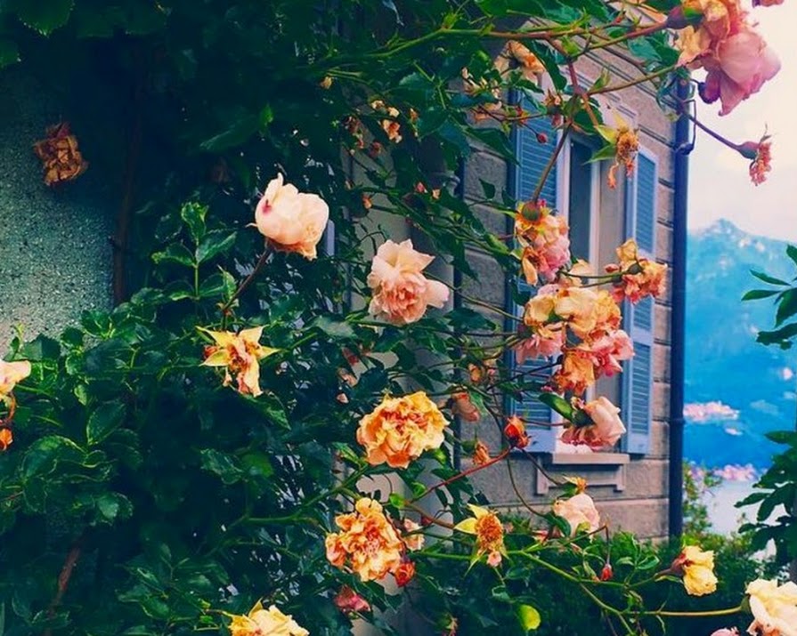 5 Cultured-Focused Irish Instagram Accounts To Obsess Over