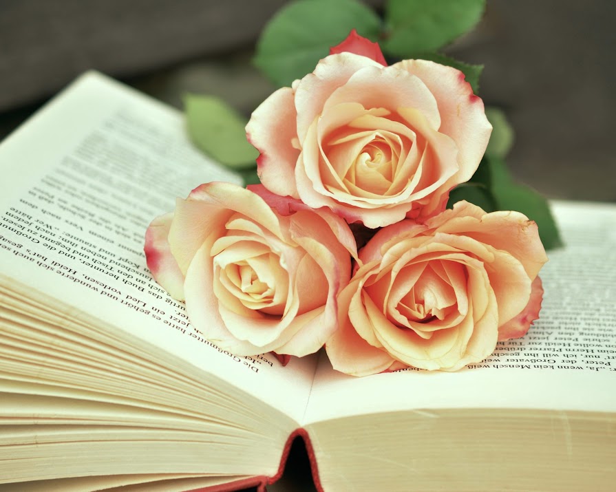 Six books worth reading on or after Valentine’s Day (hot date or not)