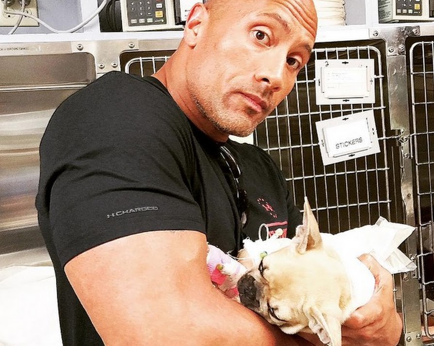 The Rock Had To Put His Dog Down, Wants To Warn Pet Owners